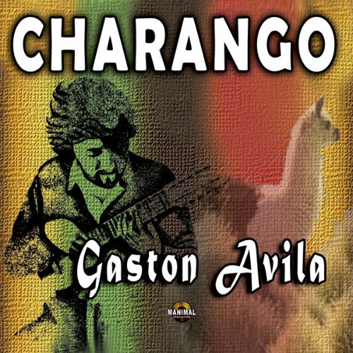 Gaston Avila - Charango (2019) [16B-44 1kHz]