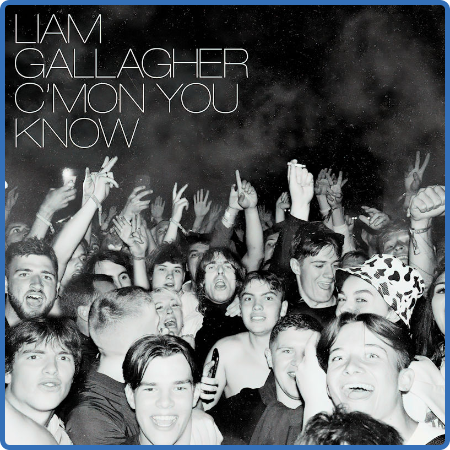 Liam Gallagher - C'mon You Know