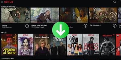 TunePat Netflix Video Downloader 1.8.6 Multilingual