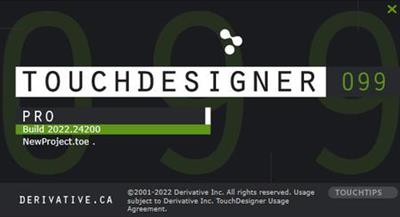 Derivative TouchDesigner Pro 2022.25370 (x64)