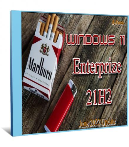 Windows 11 Enterprise 22000.776 by Tatata (x64) (2022) (Rus)