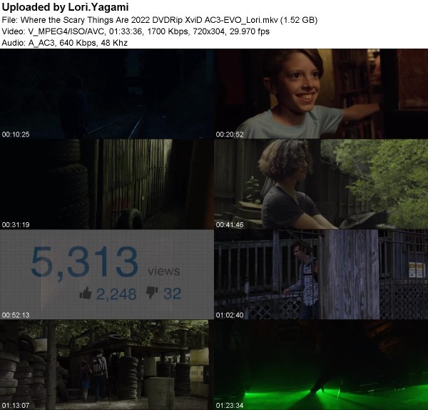 Where the Scary Things Are (2022) DVDRip XviD AC3-EVO