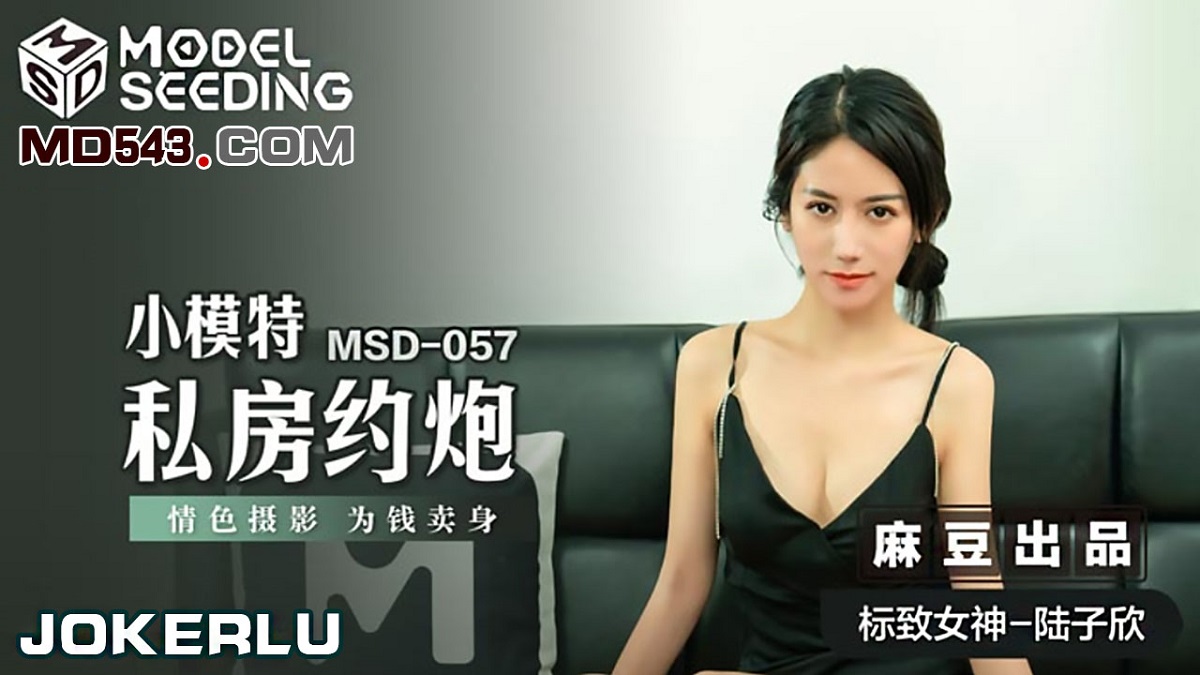 Lu Zixin - The little model has a private appointment. Erotic photography sells itself for money. (Madou Media) [MSD-057] [uncen] [2021 г., All Sex, Blowjob, 720p]