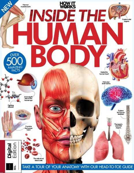 Inside the Human Body (How It Works 2021)