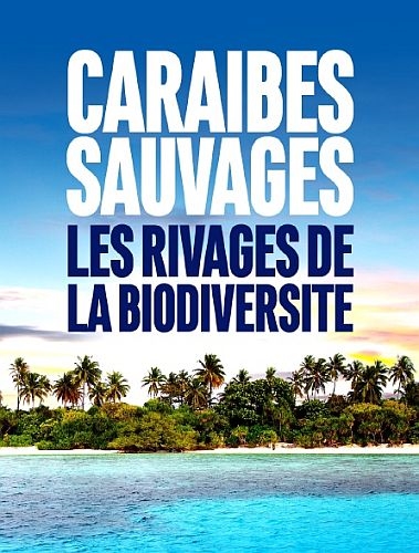   -   / Caraïbes sauvages, les rivages de la biodiversité (2018) UHDTV-HEVC 2160p | P1