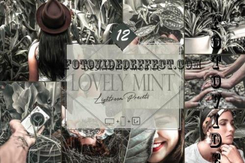 12 Lovely Mint Lightroom Presets, Spring