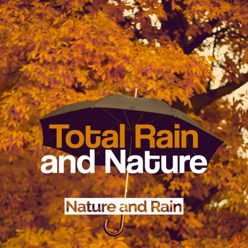 Nature and Rain - Total Rain and Nature - 2019