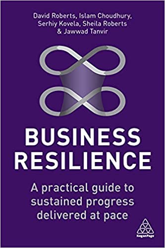 Business Resilience A Practical Guide to Sustained Progress Delivered at Pace