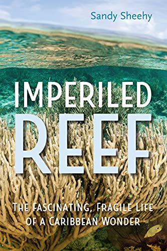 Imperiled Reef The Fascinating, Fragile Life of a Caribbean Wonder