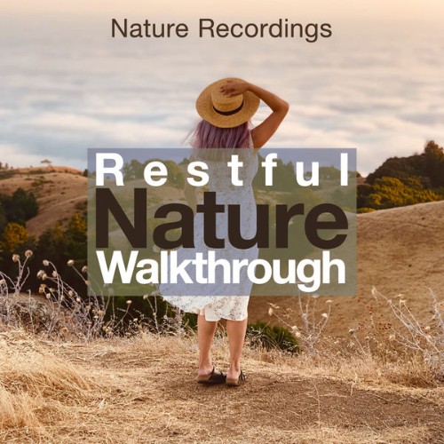 Nature Recordings - Restful Nature Walkthrough - 2019