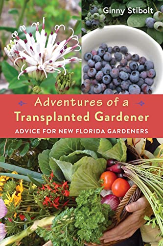 Adventures of a Transplanted Gardener Advice for New Florida Gardeners