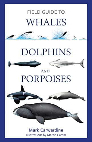 Field Guide to Whales, Dolphins and Porpoises (Bloomsbury Naturalist)