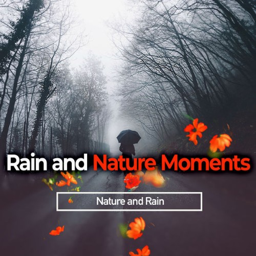 Nature and Rain - Rain and Nature Moments - 2019