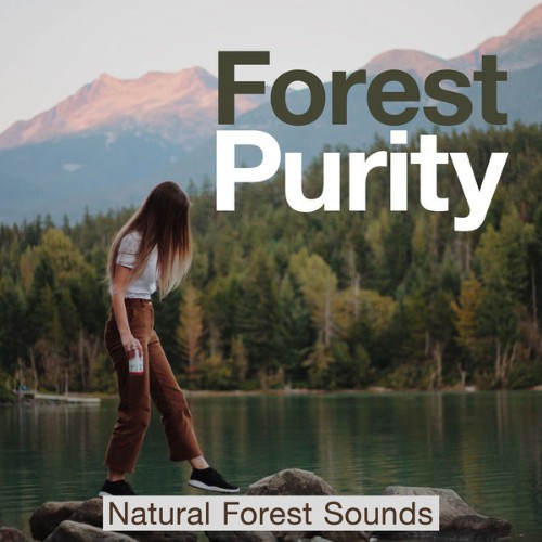 Natural Forest Sounds - Forest Purity - 2019