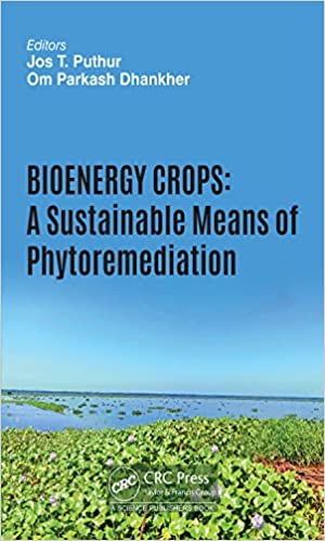 Bioenergy Crops A Sustainable Means of Phytoremediation