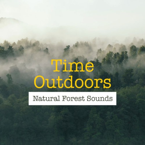 Natural Forest Sounds - Time Outdoors - 2019