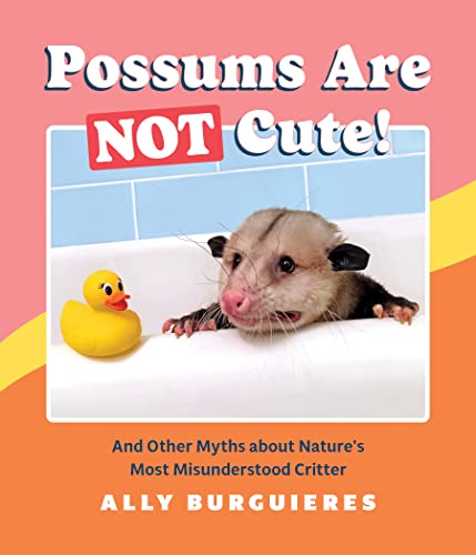 Possums Are Not Cute! And Other Myths about Nature's Most Misunderstood Critter