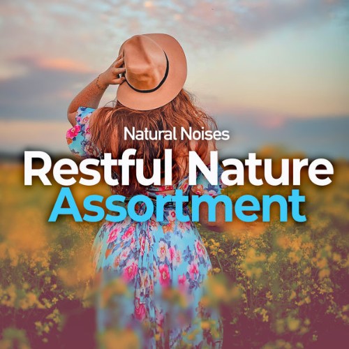 Natural Noises - Restful Nature Assortment - 2019