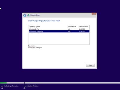 Windows 11 Pro/Enterprise Build 22000.739 (No TPM Required) With Office 2021 Pro Plus Preactivated