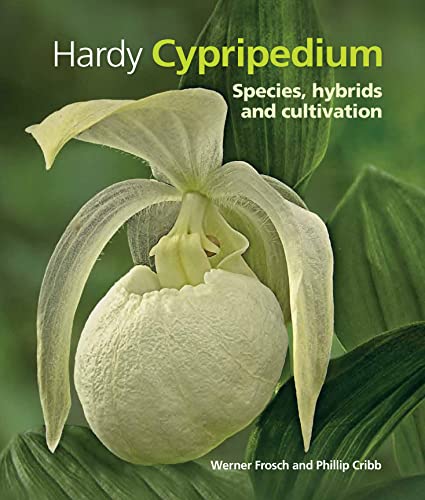 Hardy Cypripedium Species, Hybrids and Cultivation
