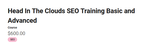 Holly Stark – Head In The Clouds SEO Training Basic & Advanced