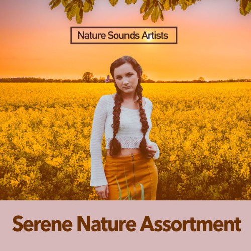 Nature Sounds Artists - Serene Nature Assortment - 2019