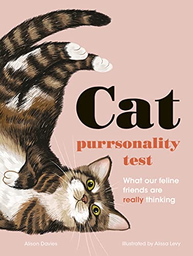 The Cat Purrsonality Test What Our Feline Friends Are Really Thinking