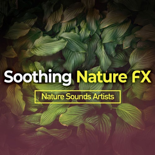 Nature Sounds Artists - Soothing Nature FX - 2019