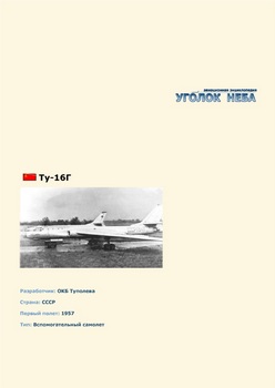 Туполев Ту-16Г. Вспомогательный самолет