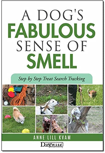 A Dog's Fabulous Sense Of Smell Step by Step Treat Search Tracking
