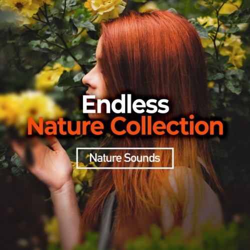 Nature Sounds - Endless Nature Collection - 2019