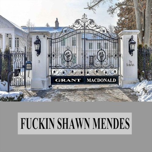 Grant MacDonald - Fuckin' Shawn Mendes - 2020