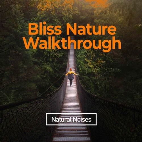 Natural Noises - Bliss Nature Walkthrough - 2019
