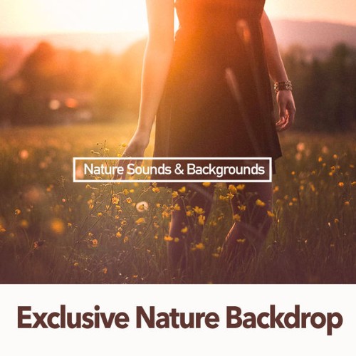 Nature & Sounds Backgrounds - Exclusive Nature Backdrop - 2019