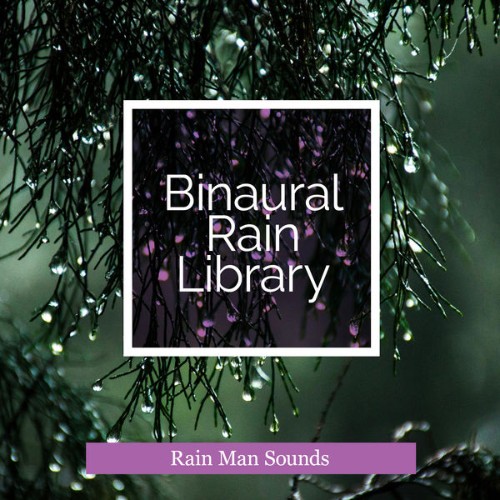 Rain Man Sounds - Binaural Rain Library - 2019
