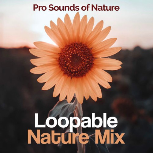 Pro Sounds of Nature - Loopable Nature Mix - 2019