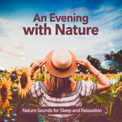Nature Sounds for Sleep and Relaxation - An Evening with Nature - 2019