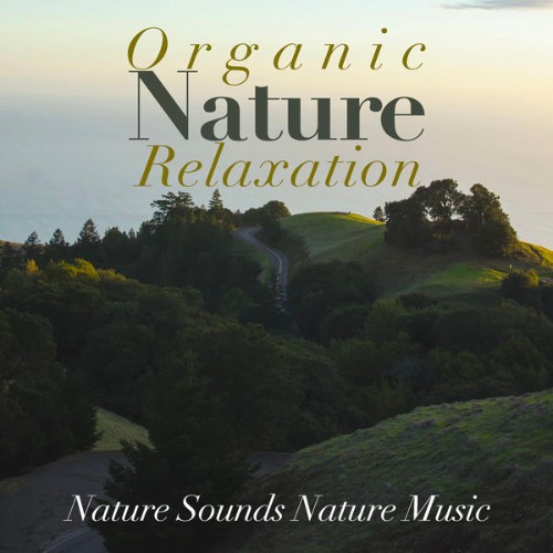 Nature Sounds Nature Music - Organic Nature Relaxation - 2019