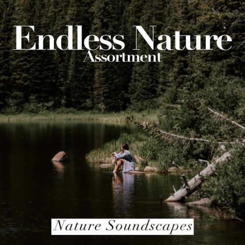 Nature Soundscapes - Endless Nature Assortment - 2019