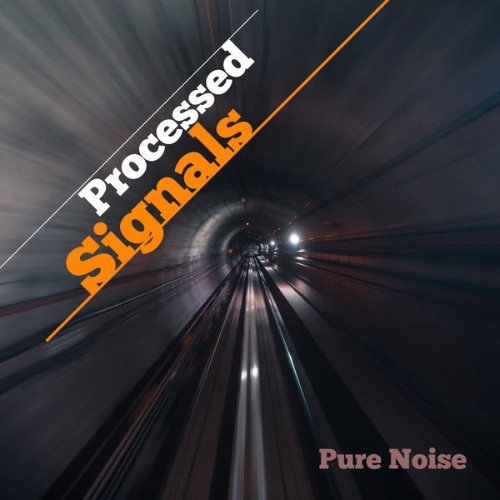 Pure Noise - Processed Signals - 2019