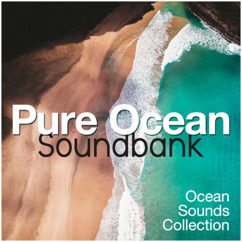 Ocean Sounds Collection - Pure Ocean Soundbank - 2019