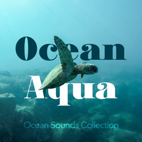 Ocean Sounds Collection - Ocean Aqua - 2019