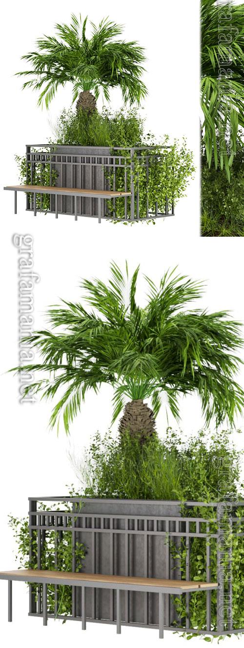 Collection Plant Vol 228 3D Model