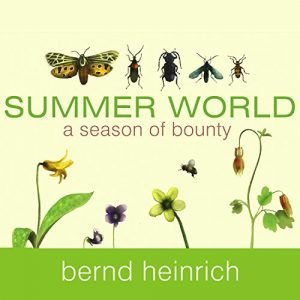 Summer World A Season of Bounty [Audiobook]