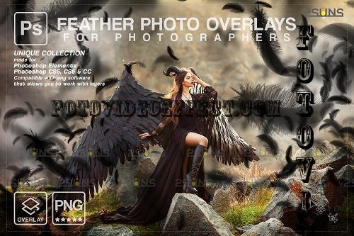 Black Feather photo overlays png V3 - 1998040