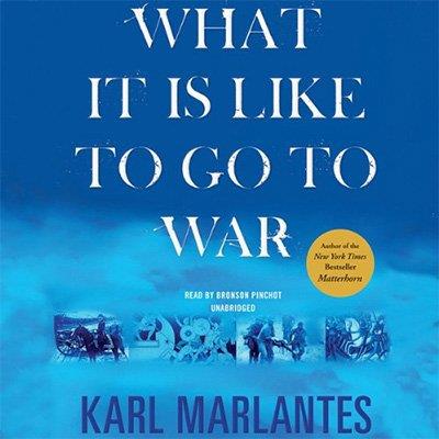 What It Is Like to Go to War (Audiobook)