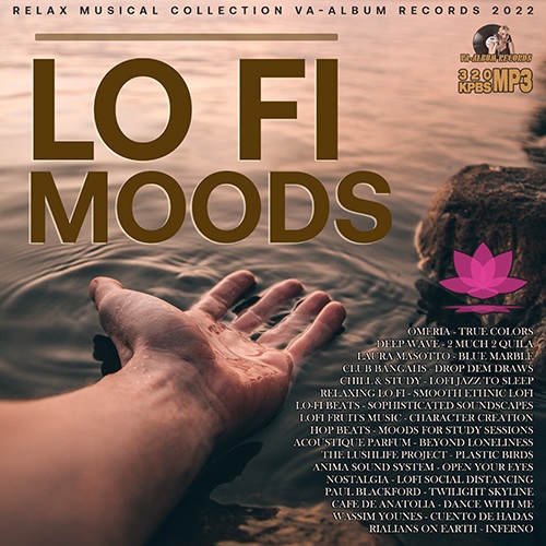VA - Lo-Fi Moods (2022) / MP3