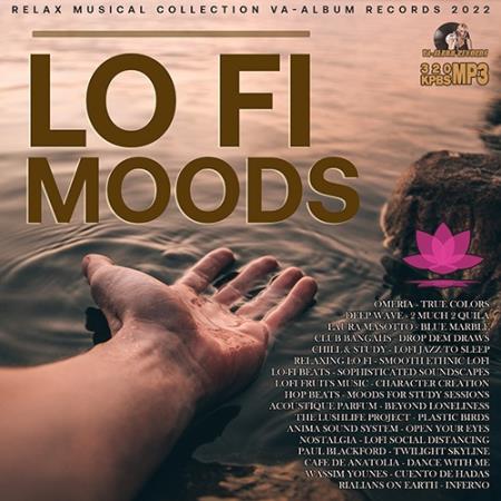 Картинка Lo-Fi Moods (2022)