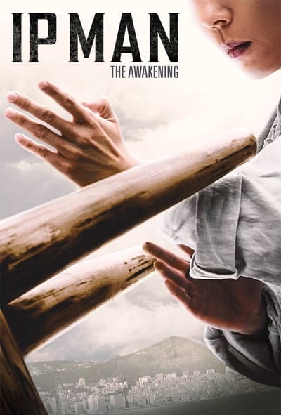 Ip Man The Awakening (2022) DUBBED 1080p BluRay x265-RARBG