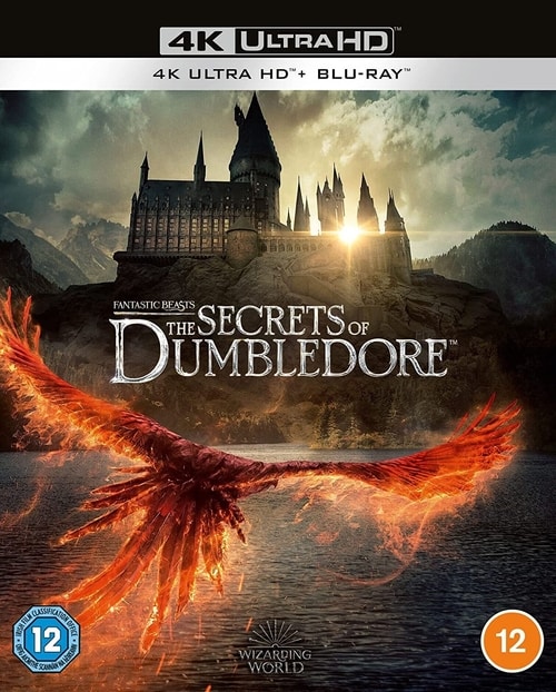 Fantastyczne zwierzęta: Tajemnice Dumbledore'a / Fantastic Beasts: The Secrets of Dumbledore (2022) MULTi.2160p.UHD.Blu-ray.Remux.HEVC.DV.TrueHD.7.1-LTS ~ Dubbing i Napisy PL